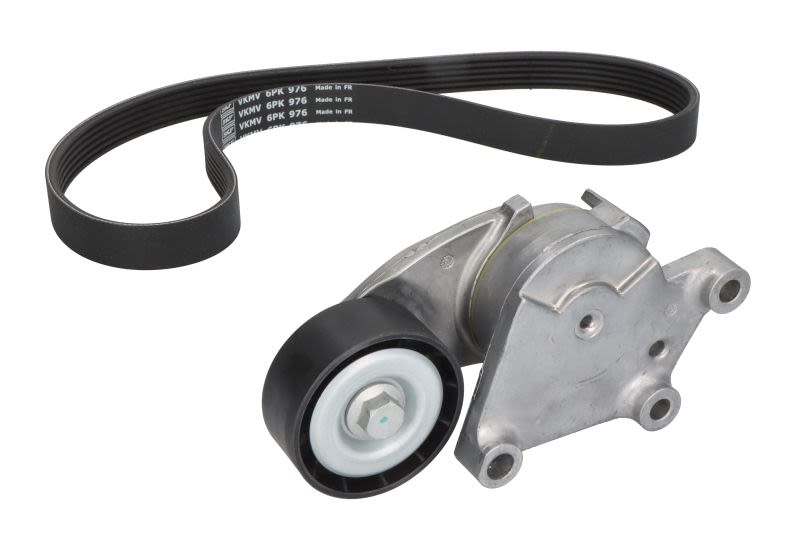 SET KANALNOG REMENA BERLINGO